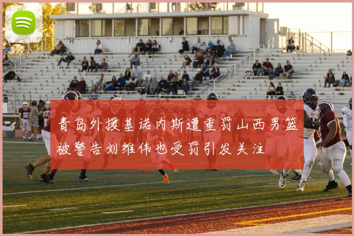 青岛外援基诺内斯遭重罚山西男篮被警告刘维伟也受罚引发关注