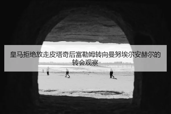 皇马拒绝放走皮塔奇后富勒姆转向曼努埃尔安赫尔的转会观察
